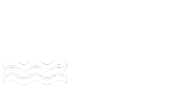 TMN Logo